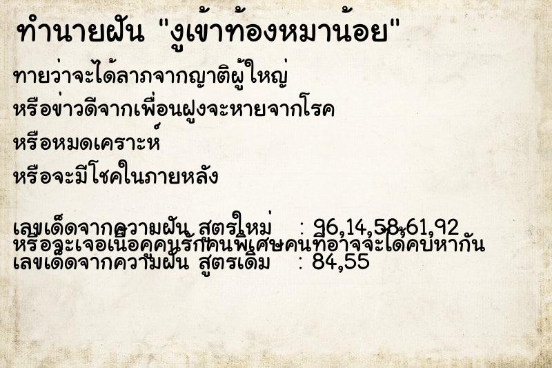 ทำนายฝัน งูเข้าท้องหมาน้อย ทำนายฝัน งูเข้าท้องหมาน้อย