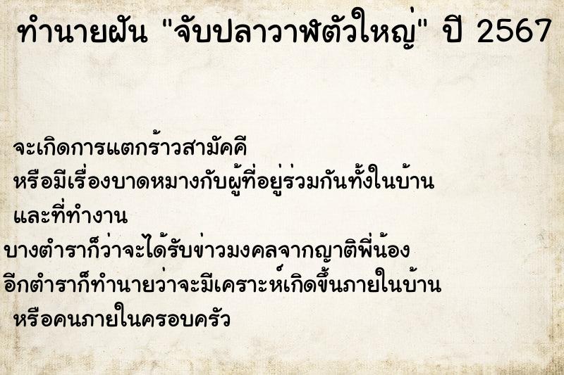 ทำนายฝันจับปลาวาฬตัวใหญ่ ทำนายฝันทำนายฝันจับปลาวาฬตัวใหญ่