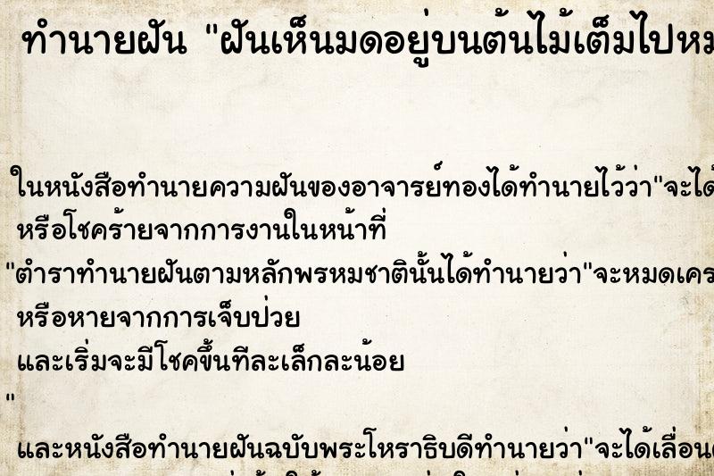 ทำนายฝันทำนายฝันฝันเห็นมดอยู่บนต้นไม้เต็มไปหมด