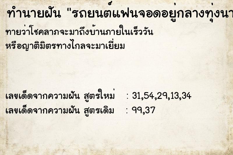 ทำนายฝันรถยนต์แฟนจอดอยู่กลางทุ่งนา ทำนายฝันทำนายฝันรถยนต์แฟนจอดอยู่กลางทุ่งนา