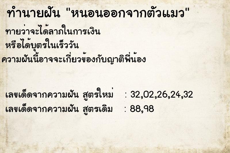 ทำนายฝันทำนายฝันหนอนออกจากตัวแมว