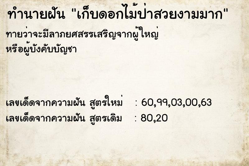 ทำนายฝันทำนายฝันเก็บดอกไม้ป่าสวยงามมาก