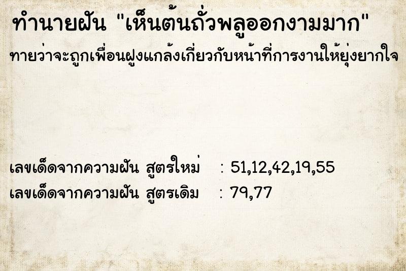 ทำนายฝันเห็นต้นถั่วพลูออกงามมาก ทำนายฝันทำนายฝันเห็นต้นถั่วพลูออกงามมาก