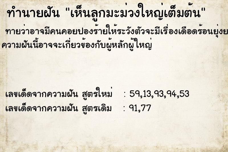 ทำนายฝันทำนายฝันเห็นลูกมะม่วงใหญ่เต็มต้น