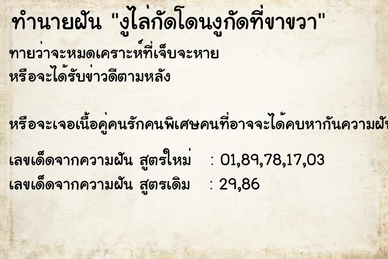 ทำนายฝันงูไล่กัดโดนงูกัดที่ขาขวา ทำนายฝันทำนายฝันงูไล่กัดโดนงูกัดที่ขาขวา