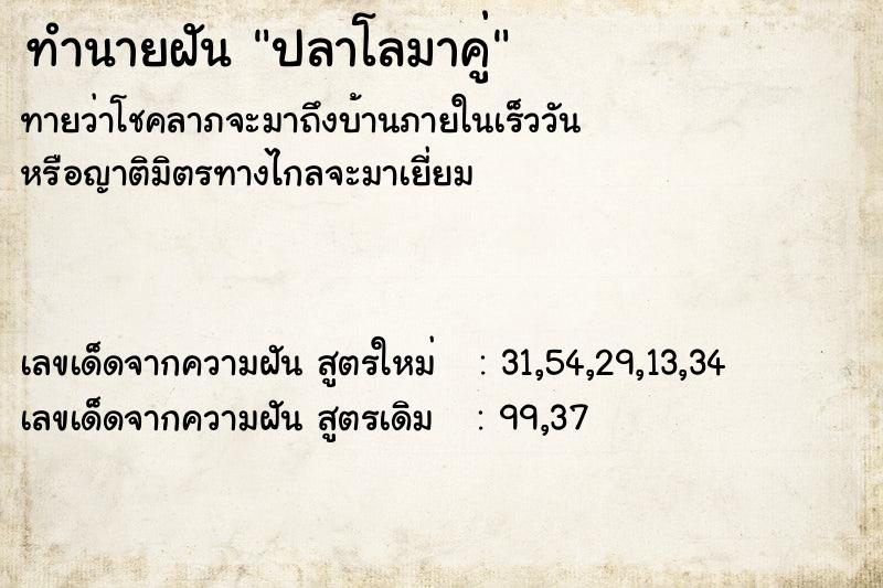 ทำนายฝันปลาโลมาคู่ ทำนายฝันทำนายฝันปลาโลมาคู่