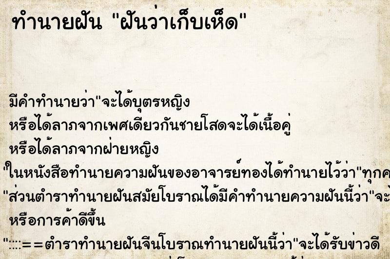 ทำนายฝัน ฝันว่าเก็บเห็ด ทำนายฝัน ฝันว่าเก็บเห็ด