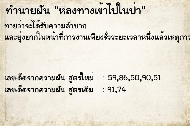 ทำนายฝันหลงทางเข้าไปในป่า ทำนายฝันทำนายฝันหลงทางเข้าไปในป่า