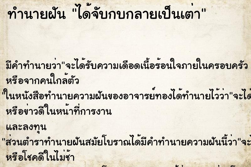 ทำนายฝันทำนายฝันได้จับกบกลายเป็นเต่า