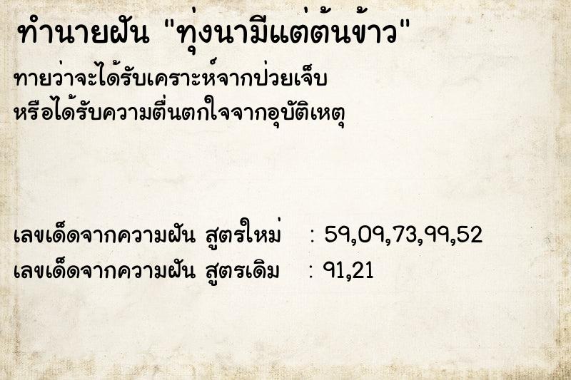 ทำนายฝันทุ่งนามีแต่ต้นข้าว ทำนายฝันทำนายฝันทุ่งนามีแต่ต้นข้าว