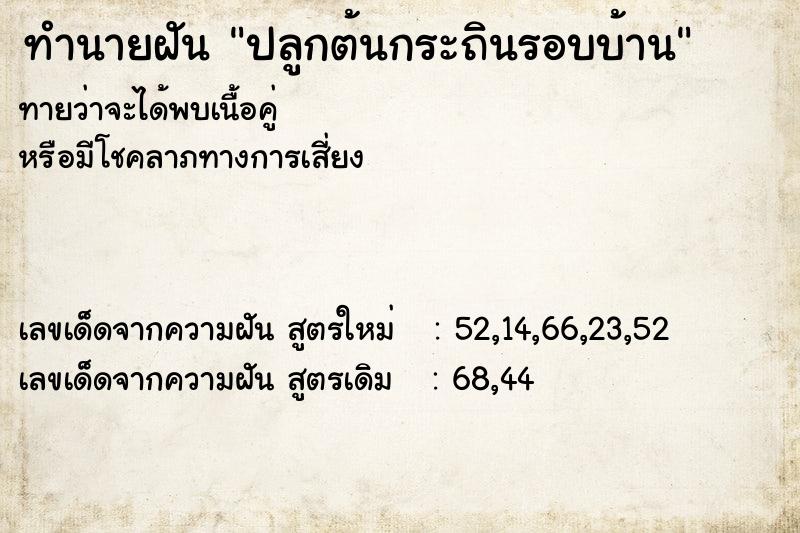 ทำนายฝันปลูกต้นกระถินรอบบ้าน ทำนายฝันทำนายฝันปลูกต้นกระถินรอบบ้าน