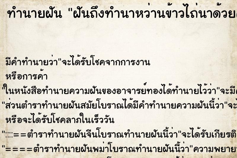 ทำนายฝันทำนายฝันฝันถึงทำนาหว่านข้าวไถ่นาด้วยควาย