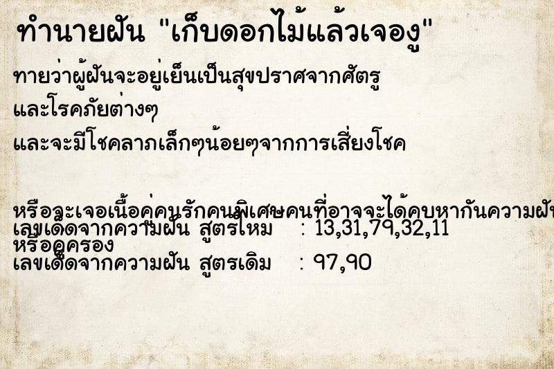 ทำนายฝันเก็บดอกไม้แล้วเจองู ทำนายฝันทำนายฝันเก็บดอกไม้แล้วเจองู