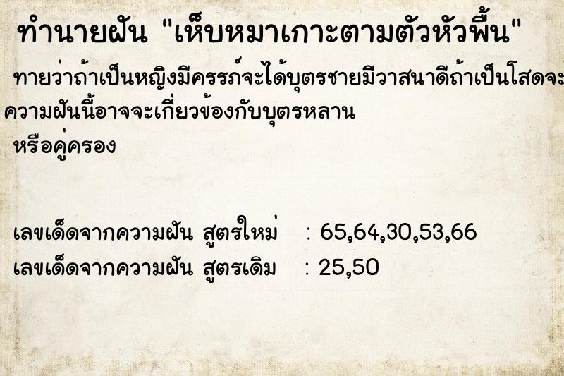 ทำนายฝันเห็บหมาเกาะตามตัวหัวพื้น ทำนายฝันทำนายฝันเห็บหมาเกาะตามตัวหัวพื้น