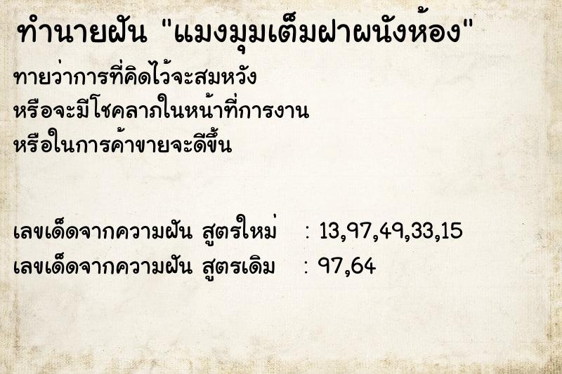 ทำนายฝันทำนายฝันแมงมุมเต็มฝาผนังห้อง