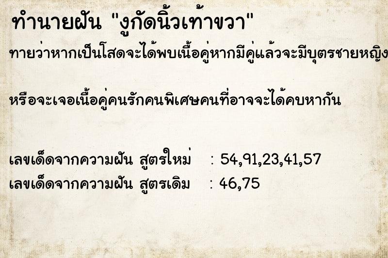 ทำนายฝันงูกัดนิ้วเท้าขวา ทำนายฝันทำนายฝันงูกัดนิ้วเท้าขวา