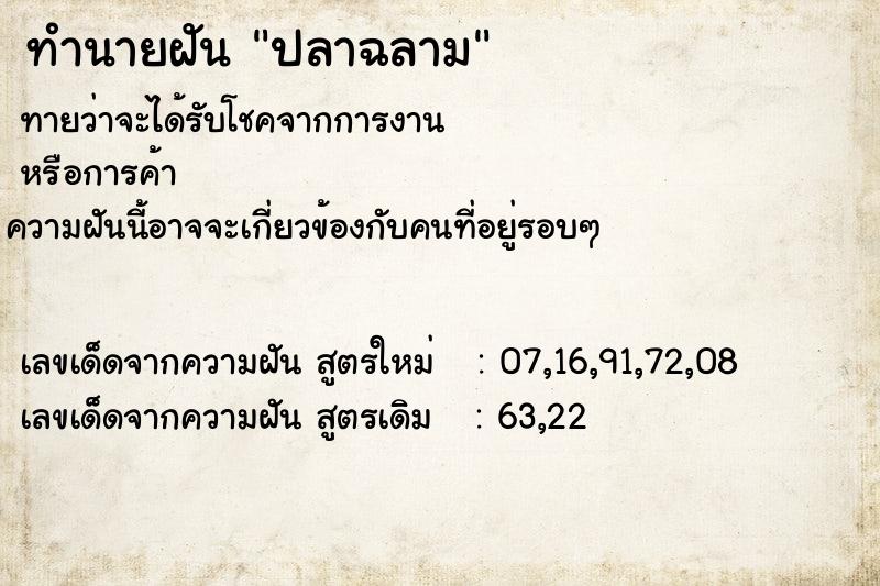 ทำนายฝัน ปลาฉลาม ทำนายฝัน ปลาฉลาม