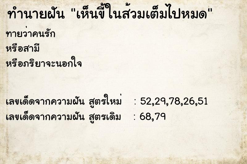 ทำนายฝันทำนายฝันเห็นขี้ในส้วมเต็มไปหมด