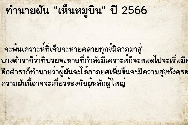 ทำนายฝัน เห็นหมูบิน ทำนายฝัน เห็นหมูบิน