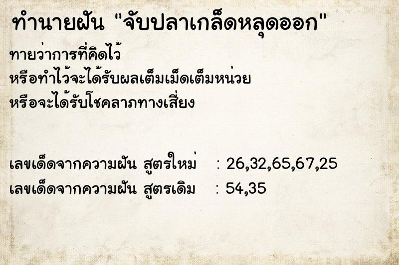ทำนายฝันทำนายฝันจับปลาเกล็ดหลุดออก