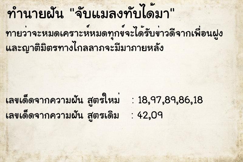ทำนายฝันทำนายฝันจับแมลงทับได้มา
