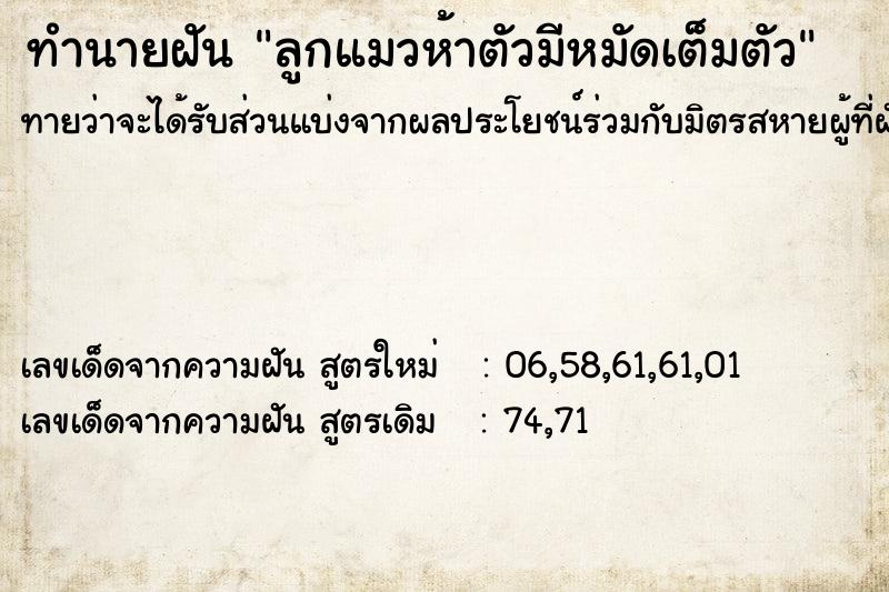ทำนายฝันลูกแมวห้าตัวมีหมัดเต็มตัว ทำนายฝันทำนายฝันลูกแมวห้าตัวมีหมัดเต็มตัว