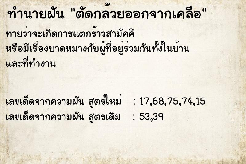 ทำนายฝันตัดกล้วยออกจากเคลือ ทำนายฝันทำนายฝันตัดกล้วยออกจากเคลือ