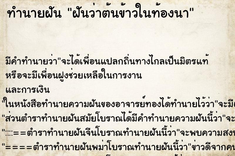 ทำนายฝันฝันว่าต้นข้าวในท้องนา ทำนายฝันทำนายฝันฝันว่าต้นข้าวในท้องนา