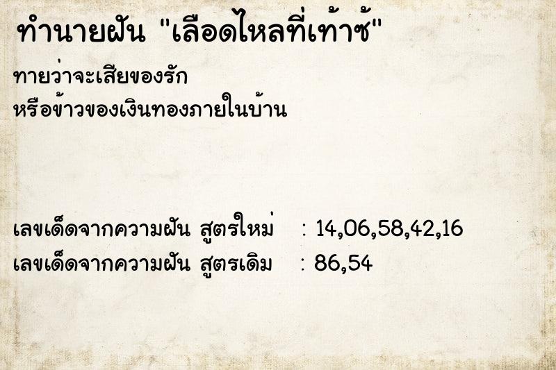 ทำนายฝันเลือดไหลที่เท้าซ้ ทำนายฝันทำนายฝันเลือดไหลที่เท้าซ้