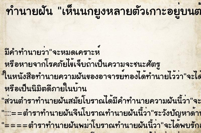 ทำนายฝันเห็นนกยูงหลายตัวเกาะอยู่บนต้นไม้ ทำนายฝันทำนายฝันเห็นนกยูงหลายตัวเกาะอยู่บนต้นไม้