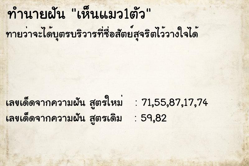 ทำนายฝัน เห็นแมว1ตัว ทำนายฝัน เห็นแมว1ตัว