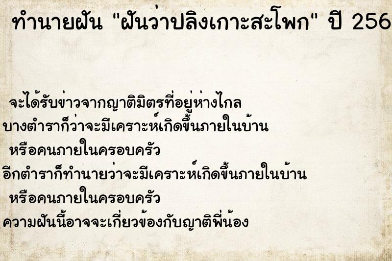 ทำนายฝันฝันว่าปลิงเกาะสะโพก ทำนายฝันทำนายฝันฝันว่าปลิงเกาะสะโพก
