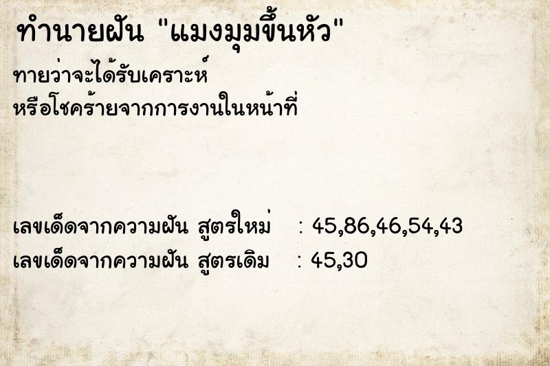 ทำนายฝันทำนายฝันแมงมุมขึ้นหัว