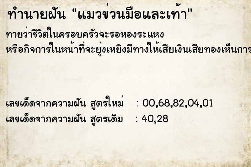 ทำนายฝันทำนายฝันแมวข่วนมือและเท้า