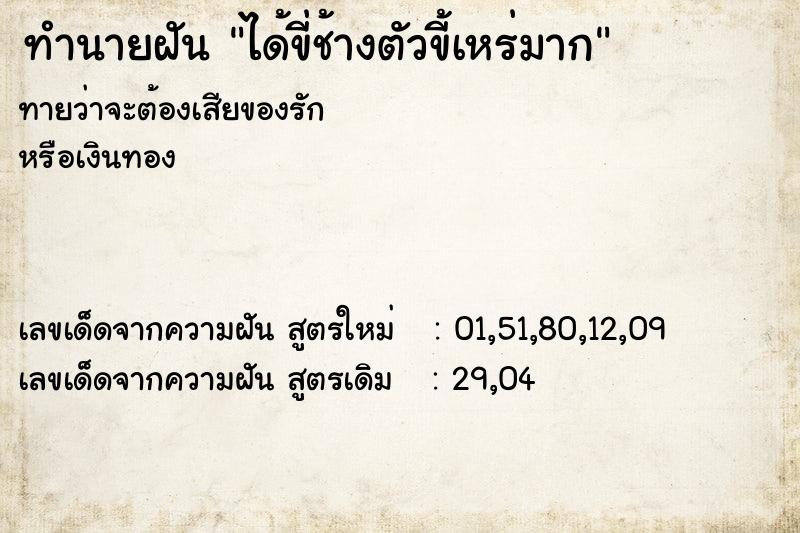 ทำนายฝันทำนายฝันได้ขี่ช้างตัวขี้เหร่มาก