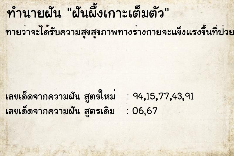 ทำนายฝัน ฝันผึ้งเกาะเต็มตัว ทำนายฝัน ฝันผึ้งเกาะเต็มตัว