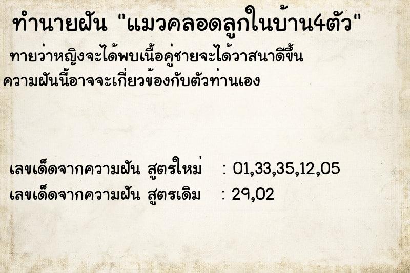 ทำนายฝันทำนายฝันแมวคลอดลูกในบ้าน4ตัว