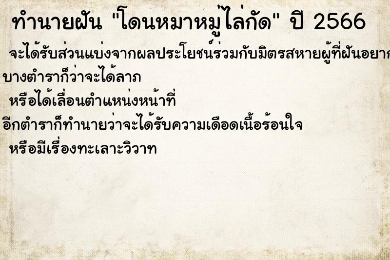 ทำนายฝันทำนายฝันโดนหมาหมู่ไล่กัด