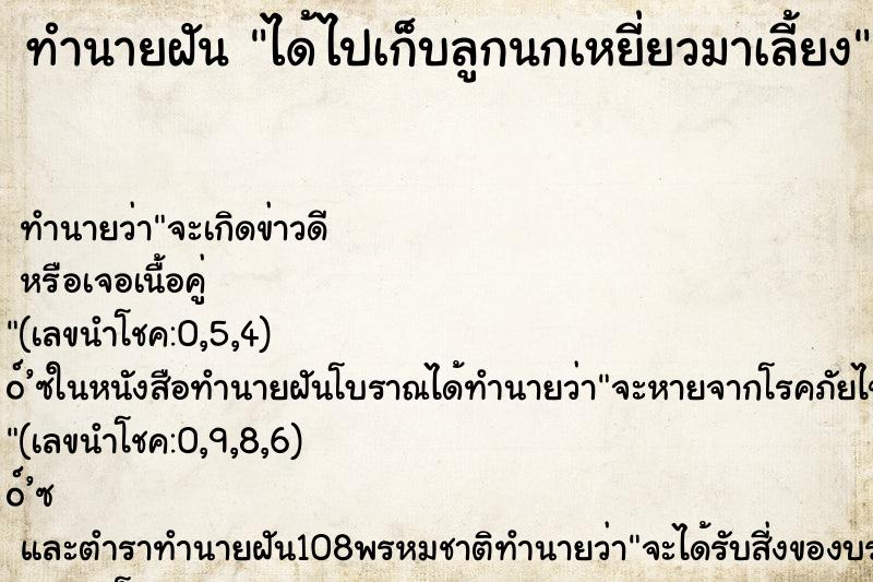 ทำนายฝัน ได้ไปเก็บลูกนกเหยี่ยวมาเลี้ยง ตำราโบราณ แม่นที่สุดในโลก