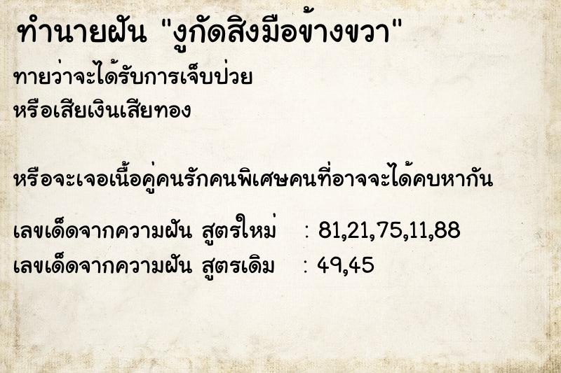 ทำนายฝันงูกัดสิงมือข้างขวา ทำนายฝันทำนายฝันงูกัดสิงมือข้างขวา