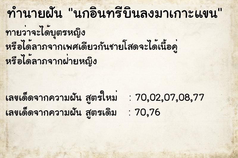 ทำนายฝัน นกอินทรีบินลงมาเกาะแขน ทำนายฝัน นกอินทรีบินลงมาเกาะแขน