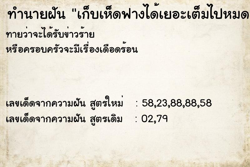 ทำนายฝันทำนายฝันเก็บเห็ดฟางได้เยอะเต็มไปหมด