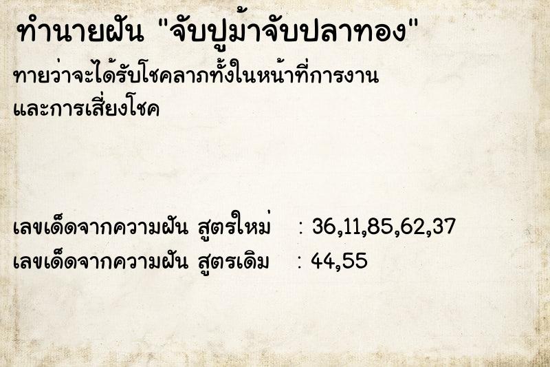 ทำนายฝันจับปูม้าจับปลาทอง ทำนายฝันทำนายฝันจับปูม้าจับปลาทอง