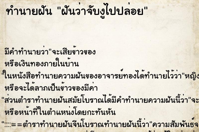 ทำนายฝัน ฝันว่าจับงูไปปล่อย ตำราโบราณ แม่นที่สุดในโลก