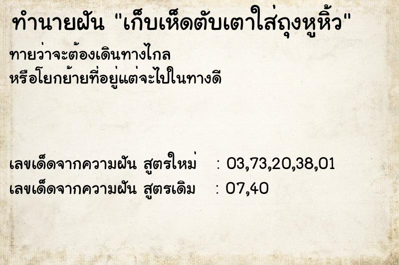 ทำนายฝันทำนายฝันเก็บเห็ดตับเตาใส่ถุงหูหิ้ว