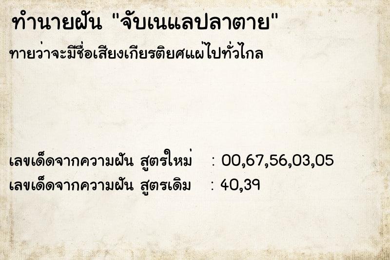 ทำนายฝันจับเนแลปลาตาย ทำนายฝันทำนายฝันจับเนแลปลาตาย