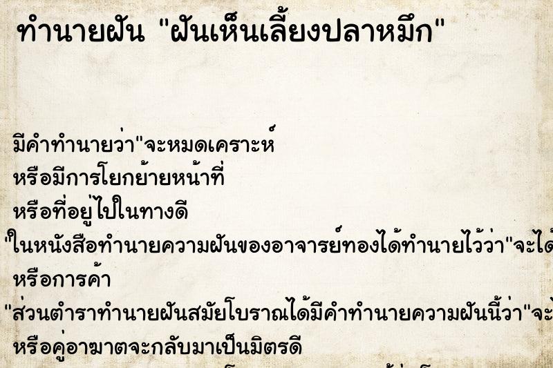 ทำนายฝันฝันเห็นเลี้ยงปลาหมึก ทำนายฝันทำนายฝันฝันเห็นเลี้ยงปลาหมึก