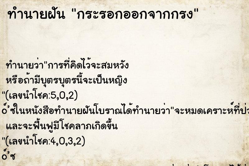 ทำนายฝัน กระรอกออกจากกรง ตำราโบราณ แม่นที่สุดในโลก