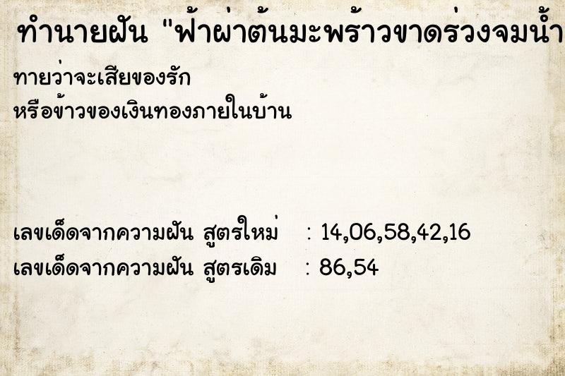 ทำนายฝันทำนายฝันฟ้าผ่าต้นมะพร้าวขาดร่วงจมน้ำ