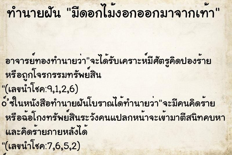 ทำนายฝัน มีดอกไม้งอกออกมาจากเท้า ทำนายฝัน มีดอกไม้งอกออกมาจากเท้า